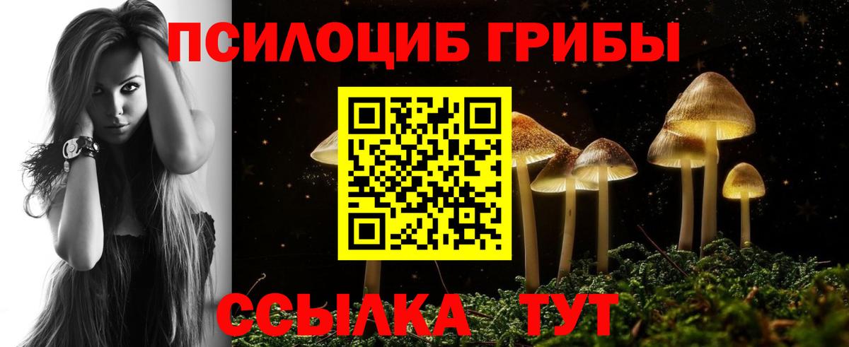 Галлюциногенные грибы Psilocybine cubensis  цены наркотик  Полевской  Псилоцибиновые грибы Psilocybine cubensis  Вход с VPN 